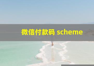 微信付款码 scheme